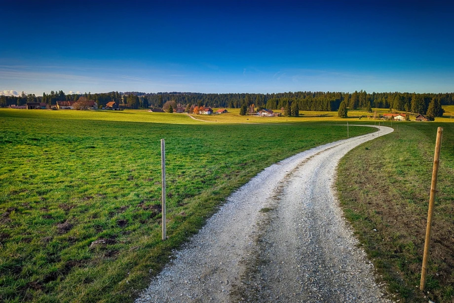 Dekorbild Webdesign